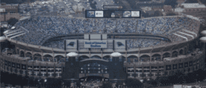 bank of america stadium capacity