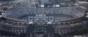 bank of america stadium capacity