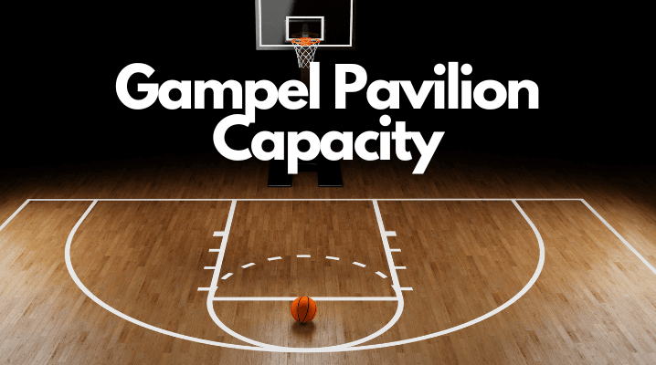 Gampel Pavilion Capacity