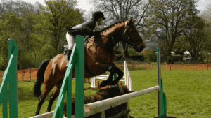 sports that start with e